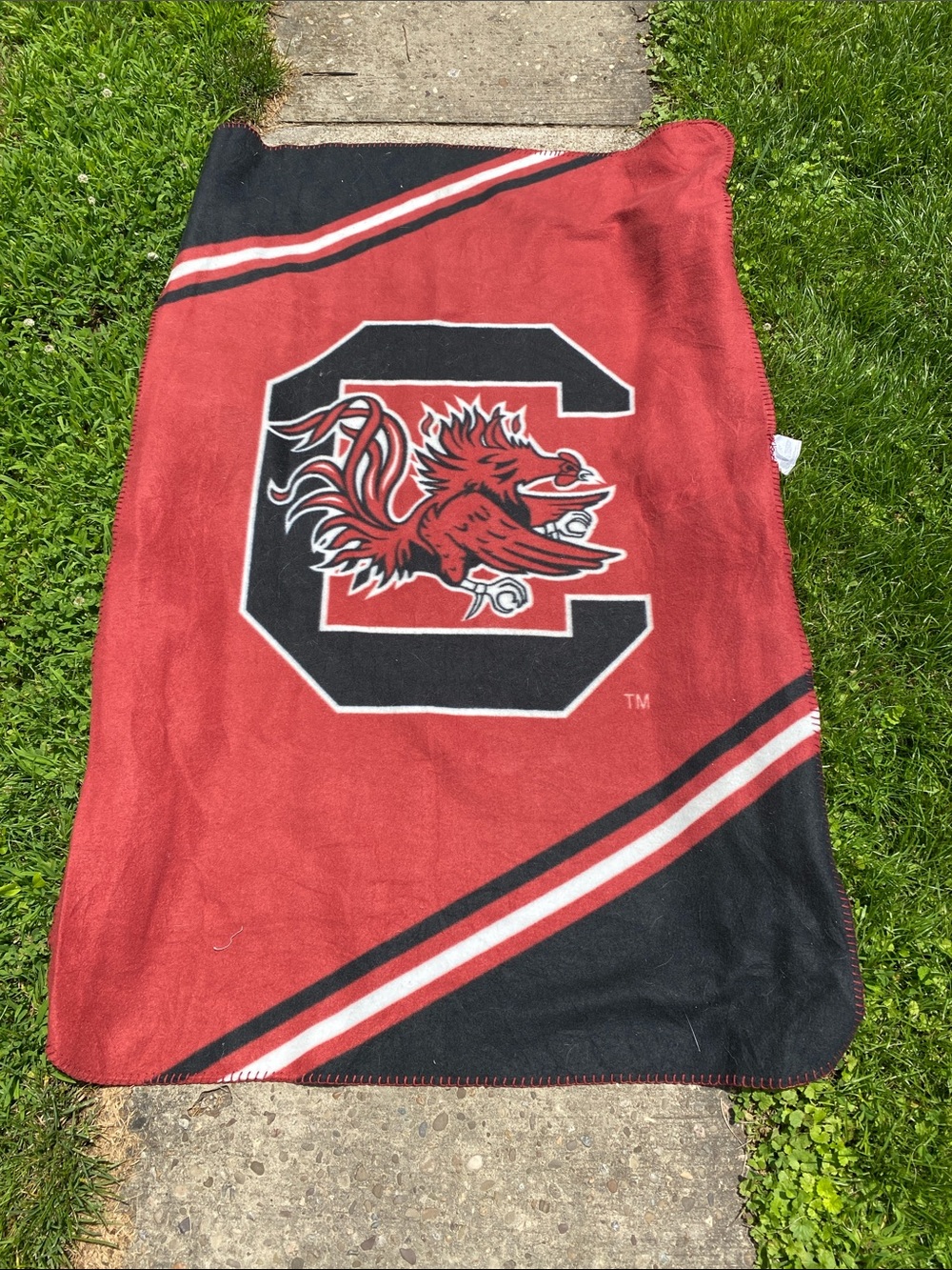 University Team Red & Black Fleece Throw Blanket